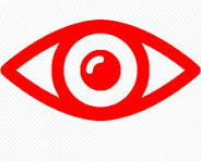 Vision